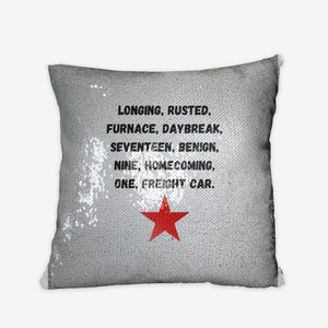bucky pillow case