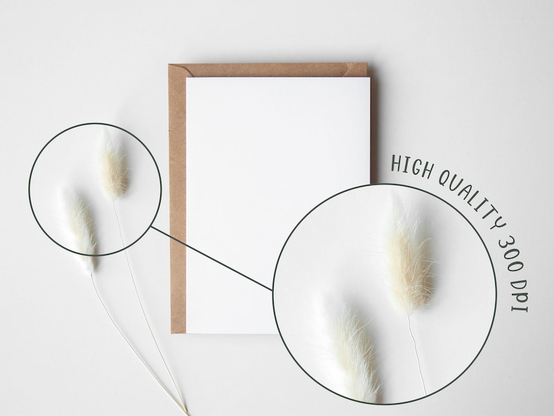 May include: A blank white card with a brown envelope on a white background. Two white fluffy stems are on either side of the card.