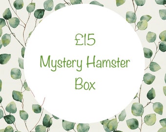 Mystery Hamster Box!