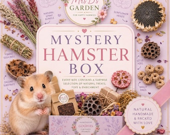 Mystery Hamster Box!
