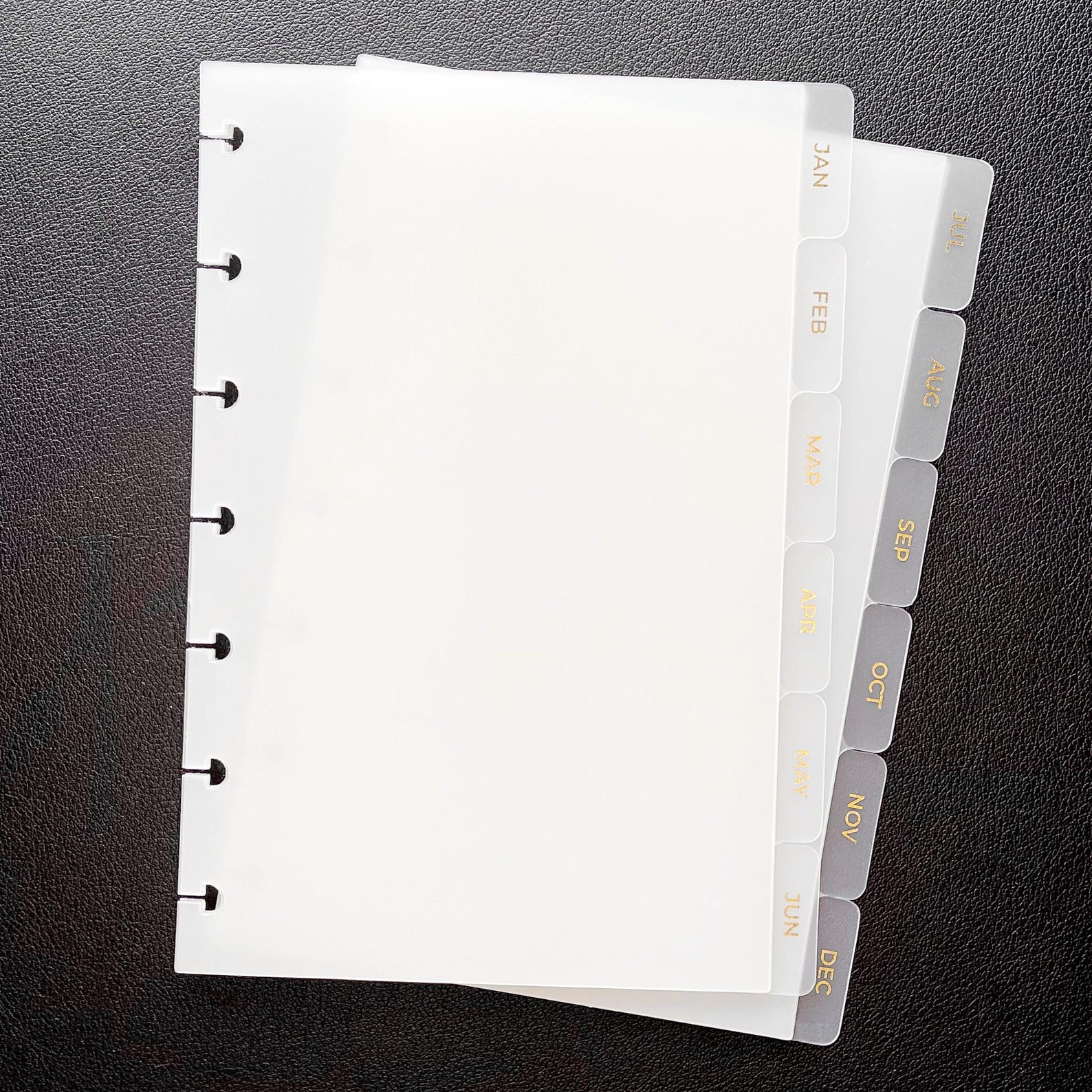Mini Happy Planner Gold Foil Monthly Side Tab Dividers | Frosted 12 ...