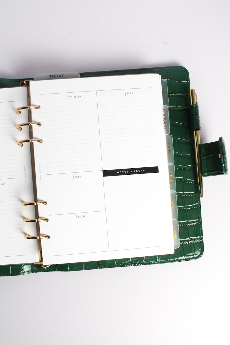 May include: Green faux-leather planner with gold-colored accents. The planner is open to a weekly spread with lined pages and day labels. A gold pen is secured in a loop. Tabs mark months. The word "TODAY" is visible.