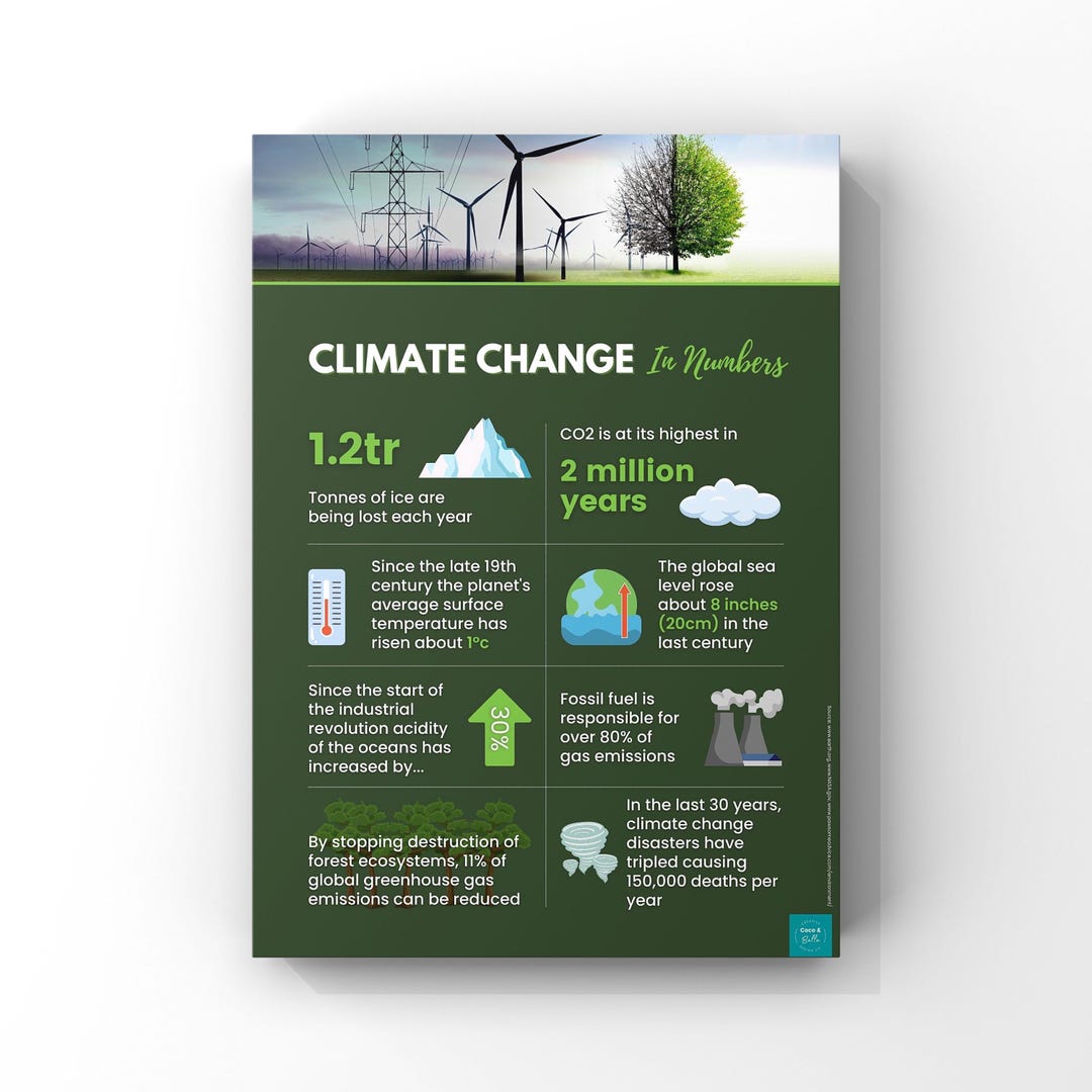 Climate Change Infographic Poster | Sustainability | Environmental