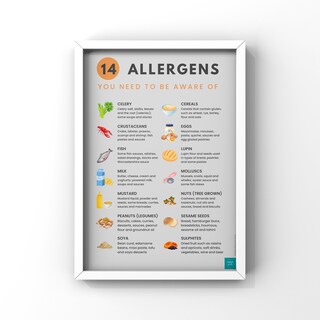 Poster A4 Laminato "Do You Have A Food Allergy?" (Hai Un'allergia Alimentare?) - Cartello Per Ristoranti E Attività Di Ristorazione - Resistente E Impermeabile