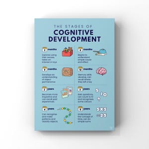 May include: A light blue educational poster titled The Stages of Cognitive Development. It features eight chronological milestones from 3 months to 5 years, illustrated with icons like a toy box, brain, photos, and math equations to explain growth.