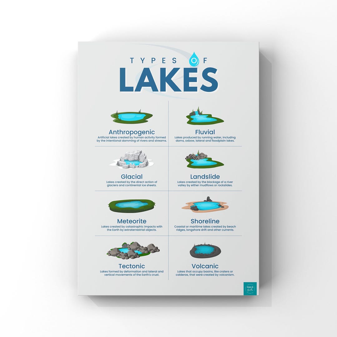 Types of Lakes Poster | Geography Poster | Environment Poster | Wall ...