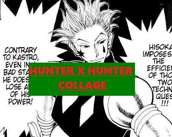 hxh manga physical