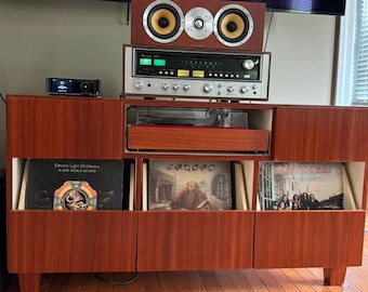 Custom Stereo and Record Cabinet