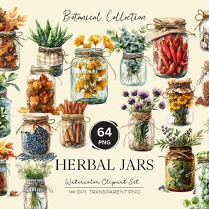 Pots d'herbes aromatiques, clipart botanique aquarelle, kit d'apothicaire pour journal indésirable, autocollant numérique, scrapbooking, licence commerciale, pot en verre vintage