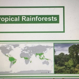 Biome Card Material PDF