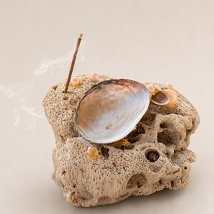 May include: A porous, beige, textured rock incense holder adorned with a large, iridescent, oval-shaped seashell, smaller shells, and small, round, light-coloured beads. A thin, lit incense stick is inserted into the rock, emitting wisps of smoke.