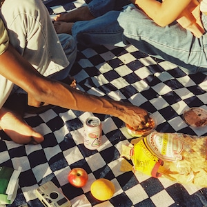 Freelufts Blue Checkered 60x80 Woven Blanket Use it as a Picnic Blanket, Throw Blanket, or Wall Tapestry image 2