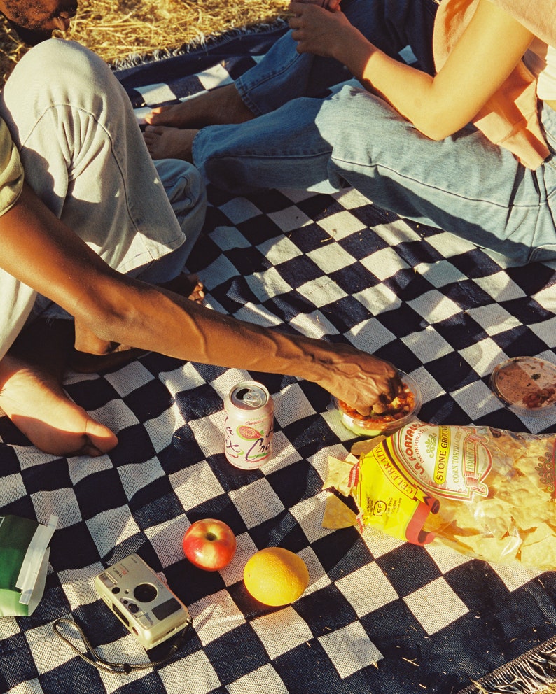 Freelufts Blue Checkered 60x80 Woven Blanket Use it as a Picnic Blanket, Throw Blanket, or Wall Tapestry image 2