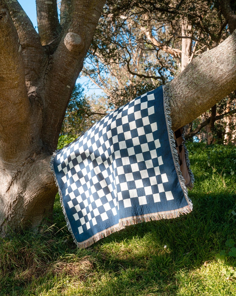 Freelufts Blue Checkered 60x80 Woven Blanket Use it as a Picnic Blanket, Throw Blanket, or Wall Tapestry image 1