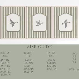 Peut inclure: Ensemble de trois impressions encadr&eacute;es avec une illustration de canard volant, sur un fond &agrave; rayures vertes et blanches. Les impressions sont affich&eacute;es avec un guide des tailles.