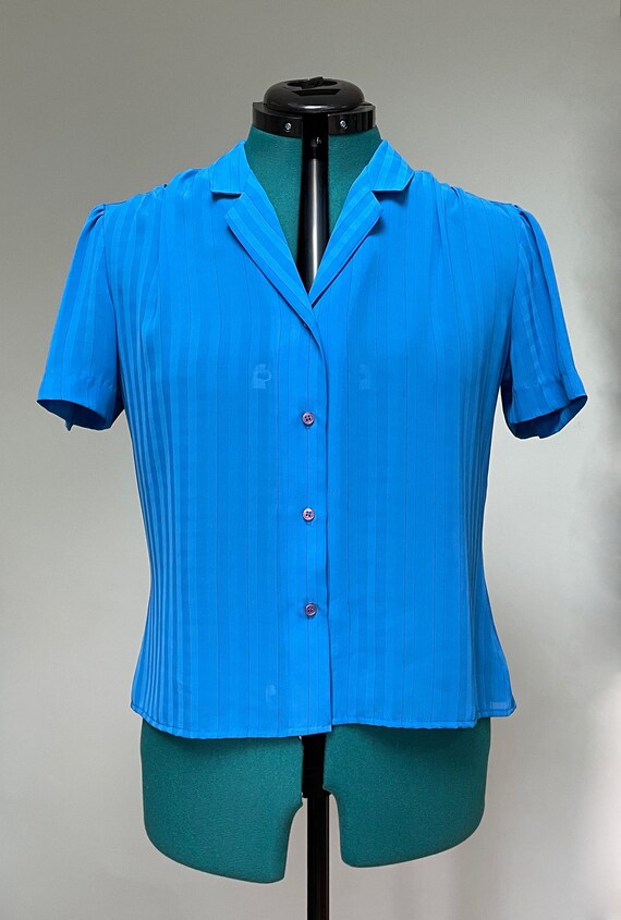 Blue Striped Checker Short Sleeve Semi-Sheer Part… - image 4