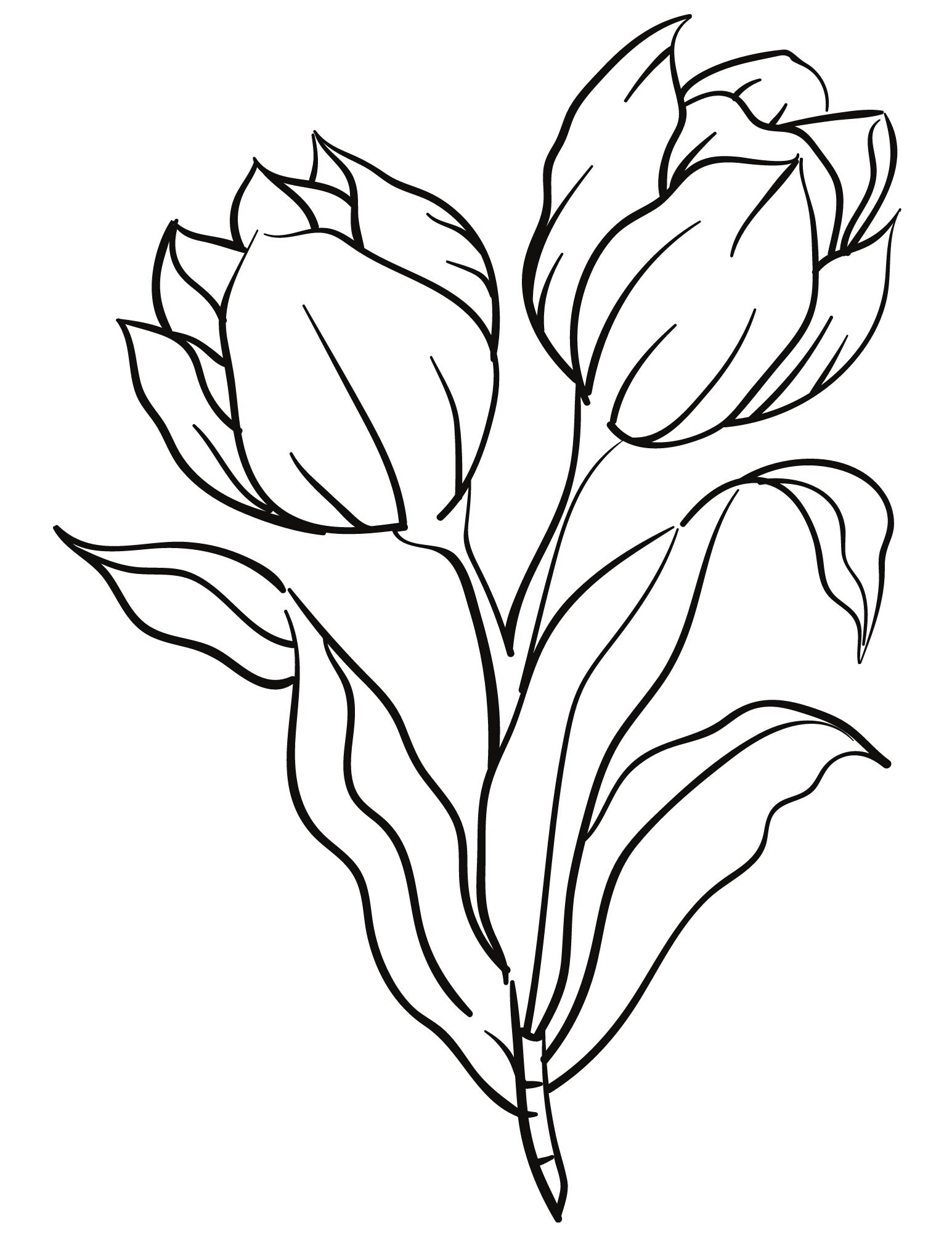 Flower Coloring Pages | Etsy