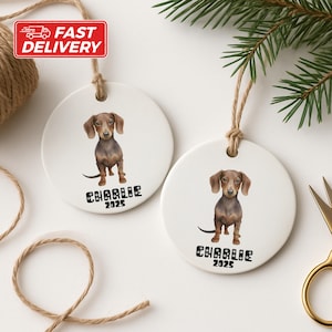 Dachshund Ornament, Custom Dog Ornament, Personalized Pet Gift, Dog Memorial, Wiener Dog Keepsake, Sausage Dog Ornament