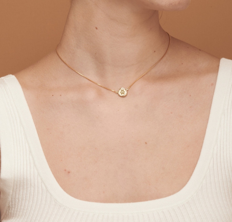 Peut inclure: Un collier en cha&icirc;ne dor&eacute;e avec un petit pendentif rond orn&eacute; d'une empreinte de patte.