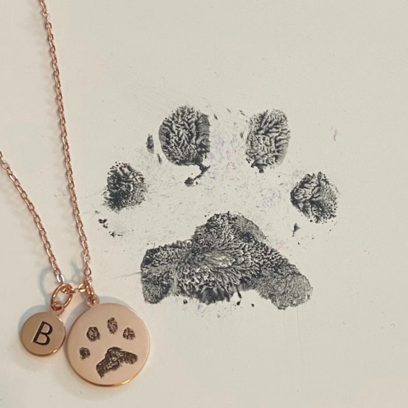 May include: A rose gold necklace with two charms. One charm is a paw print and the other is a letter "B".
