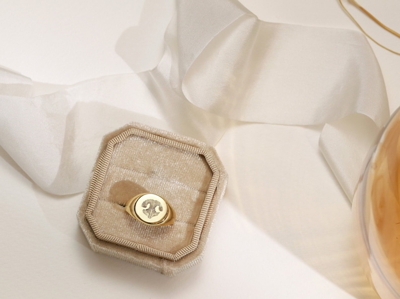 May include: A gold signet ring with a raised design of a ram's head in a velvet ring box.
