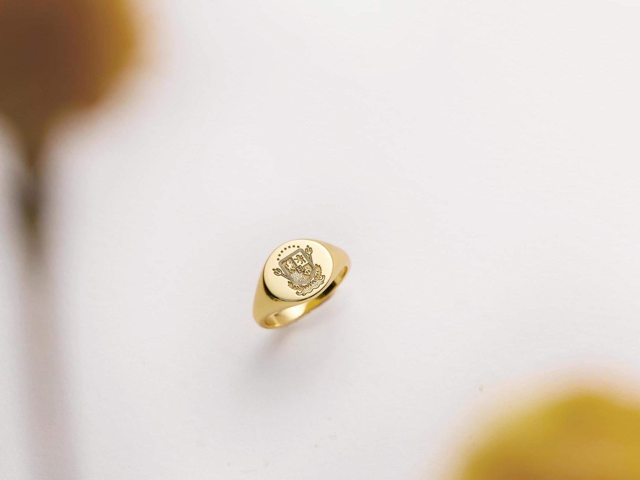 Family Crest Ring • Coat of Arms • Family Crest Ring • Personalized Jewelry • Personalized Ring • Gold Ring • Signet Ring • Statement Ring