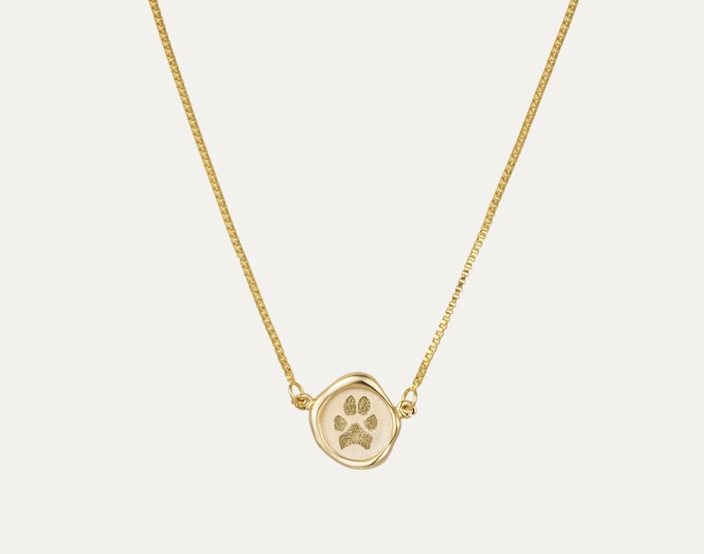 Peut inclure: Un collier en cha&icirc;ne dor&eacute;e avec un petit pendentif rond repr&eacute;sentant une empreinte de patte. Le pendentif est fait d'un mat&eacute;riau beige clair.
