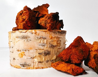 Dried wild CHAGA mushroom pieces, organically grown, fresh from Canada.