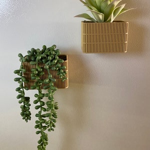 Wall Planter house plant drip tray planter command strip planter magnetic cute unique gift image 2