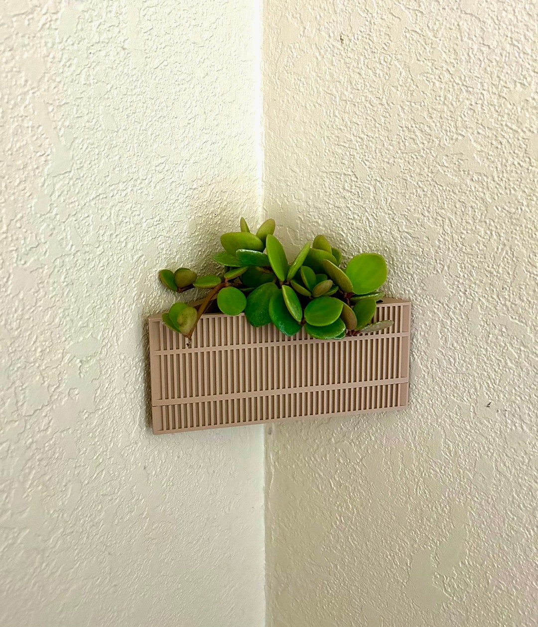 Corner Planter House Plant Planter Corner Plant Mothers Day Gift Decor