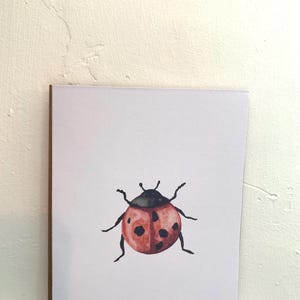 Cartes Aquarelle Coccinelle | Papeterie | Lot de 4 | Impressions aquarelles | Cartes vierges peintes à la main avec enveloppes | Cartes de voeux