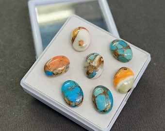 Oval Spiny Oyster Copper Turquoise Cabochon, Loose Gemstone Lot