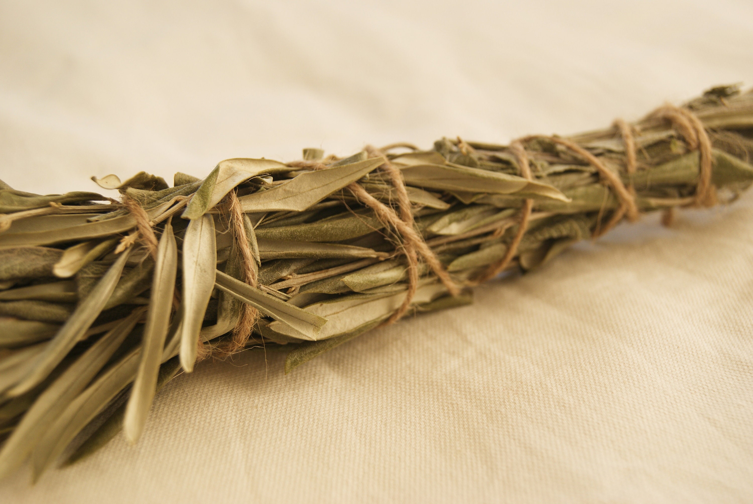 Sauge & Olivier - Bâton de Fumigation