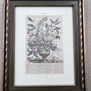 Vtg Robert Furber 12 Months of Flowers January Botanical Print Framed Small