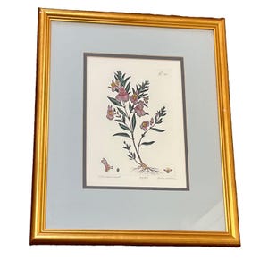 May include: A framed botanical print featuring a detailed illustration of a flowering plant with pink blossoms, green leaves, and visible roots. The artwork is set within a light grey mat and a polished gold-toned frame with a classic profile.