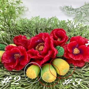 May include: Close-up of three yellow and green poppy seed pods, with red poppy flowers and green foliage in the background. The pods are labeled #1, #2, and #3.