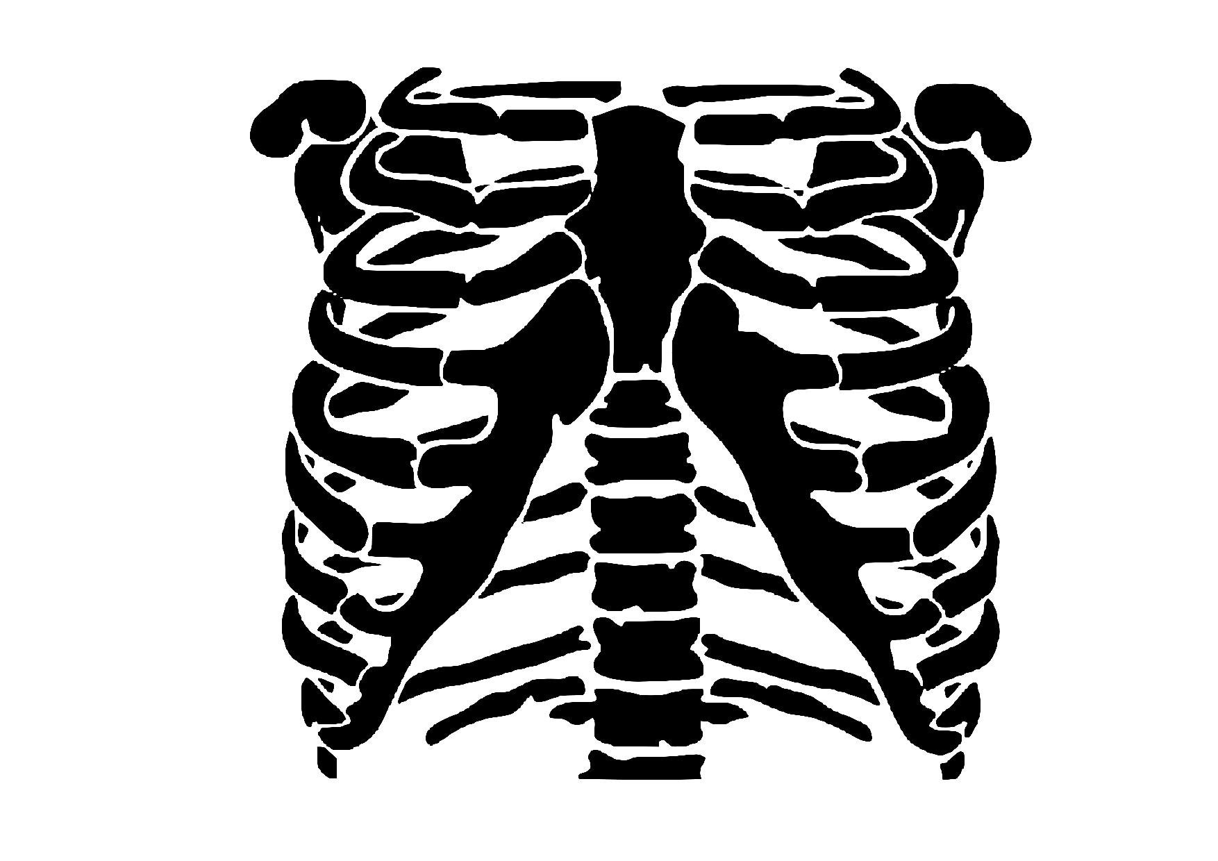 Skeleton Rib Cage Reusable Stencil Etsy skeleton-rib-cage-reusable-stencil-etsy