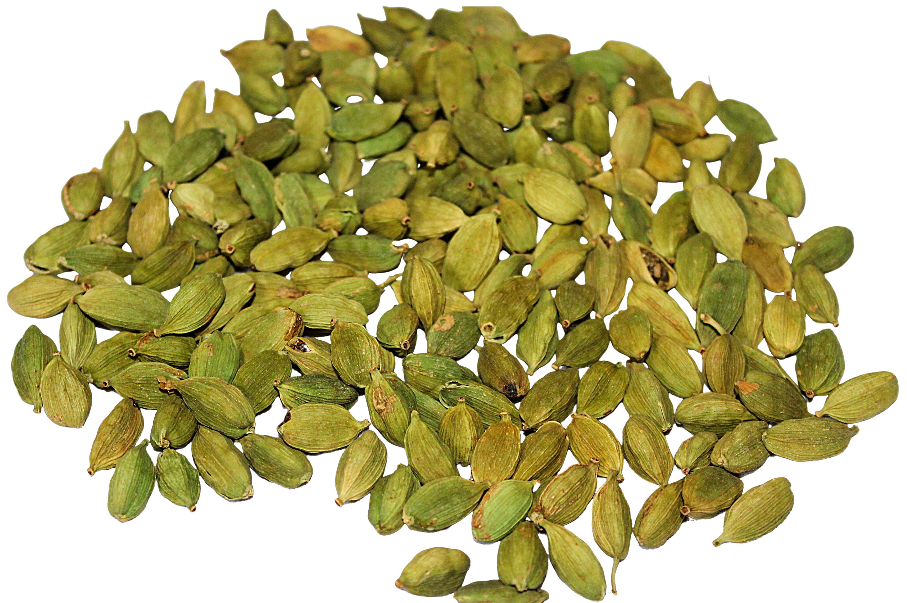 Green Fresh Big Cardamom | Elaichi Spécial de Haute Qualité Pour Le Thé Chai