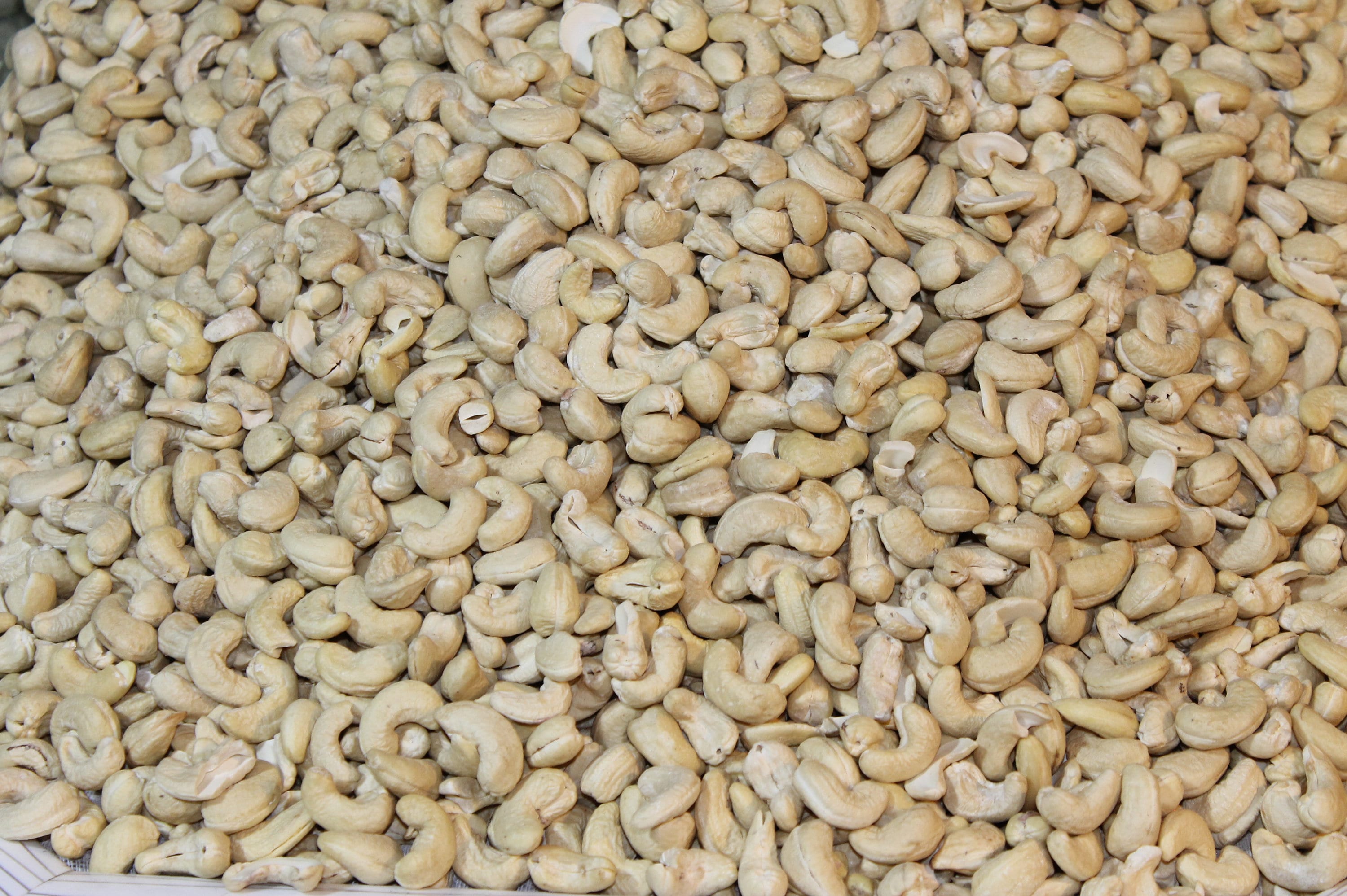 Noix de Cajou | Kaju Afghani 100% Haute Qualité et Frais
