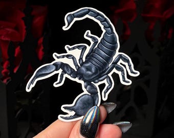 Scorpion Sticker | Glossy Waterproof Vinyl Sticker, Holographic or Glitter