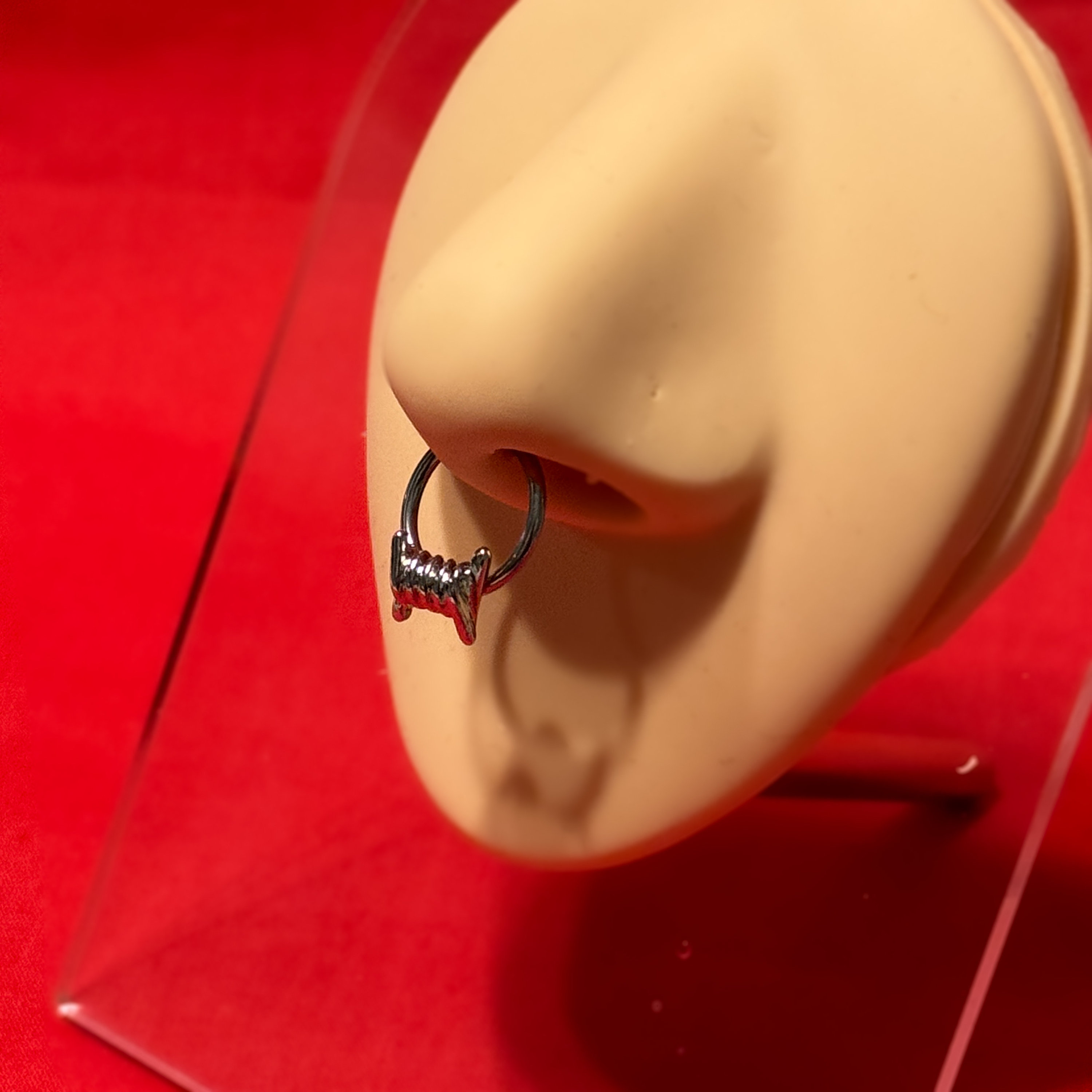 Barbed wire septum best sale