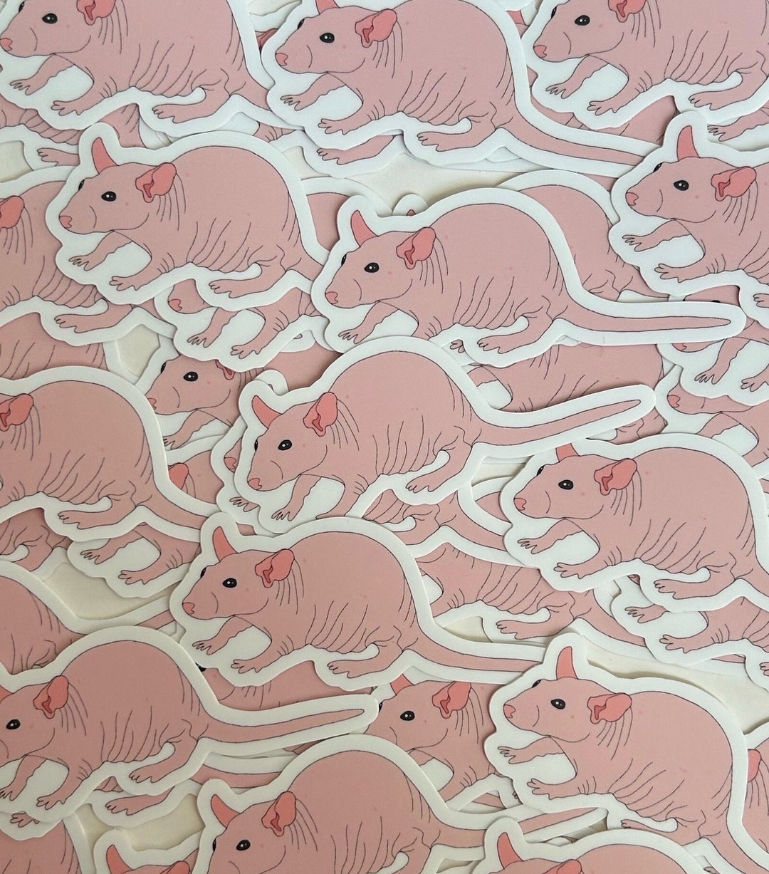 Hairless Rat Sticker New Design Rodent Vinyl - Etsy