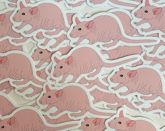 May include: A sheet of pink, hairless rat stickers. The stickers are all the same size and shape, and they feature a cartoon rat with a long tail and big ears.