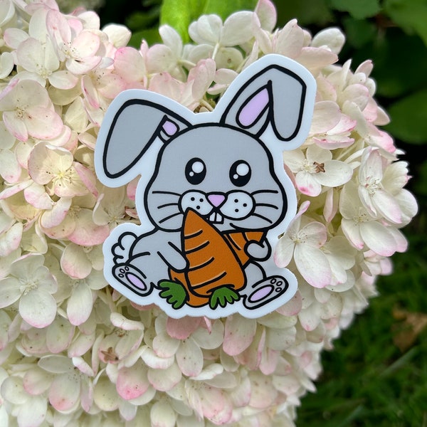 Bunny Carrot - Etsy