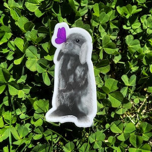 Lop Bunny with Butterfly Sticker – 3” Vinyl – Limited Edition Animal Rescue Art