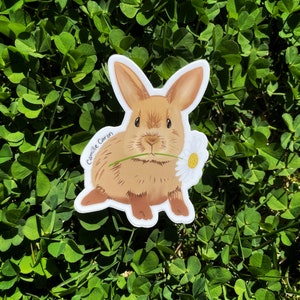 Bunny and flower sticker | rabbit | vinyl