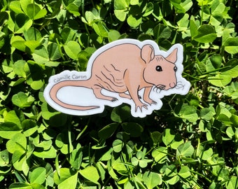 May include: A sticker of a light brown rat with a white background. The sticker has the text "Camille Caron" in the bottom left corner.