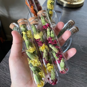 Large Herb viles, glass jar hers, jars with corks/ magick herbs, fresh dried apothecary herbs, witches apothecary/ altar, spell work, witchy