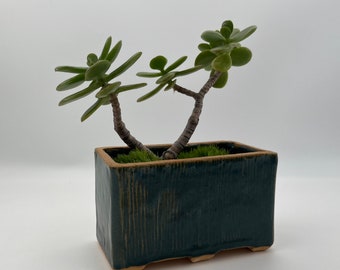 Planter,  Hand built ceramic planter, Succulent planter