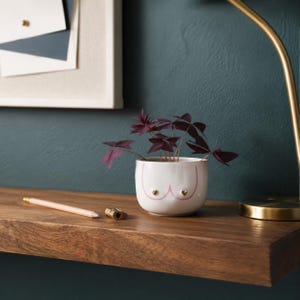 Maceta de cerámica con forma de pechos, maceta con forma de cuerpo femenino, jarrón bonito con forma de pechos, decoración ecléctica para habitaciones, pequeño soporte para suculentas, regalo feminista para amantes de las plantas.